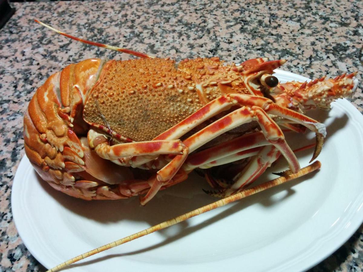 Costahispania 308 그란 알라칸트 외부 사진